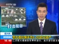 ֱ䡷  鳭ֵ4.2ŷԪʲ