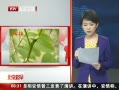 硷 Ļ޽ӣȻ