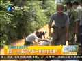 簲 ¶