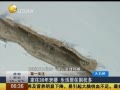 һʱ 20140425 ס30¥ סŶ