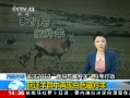 ֱ䡷 Ǽ ע2013ƿж  ǨȺְɫ
