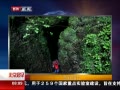 硷 ضѨ