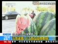 ֱ䡷 СȾ ˮ СƷѱ