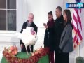 ƵŮӹ԰ Īƾٳɶ