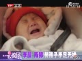 Ƶÿ鲥Ϊף
