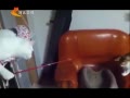 񳯡 ЦƵ