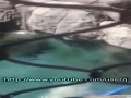 ƵʵĴȱܰοͼ
