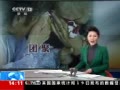 ֱ䡷 ɢ罫