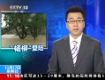 ֱ䡷 ̨Խ31