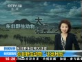 ֱ䡷 ű ҰǨ ҰǨ