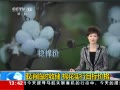 ֱ䡷 ȡʱմ ޻ʵĿ۸