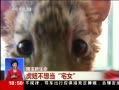 ͬע 椲뵱լŮ