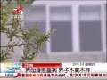 ӽ硷 ϣĸز Ӳ벻