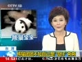 ֱ䡷 èŲ֪ԼԲаְ