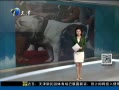 š ݾٰ춷ţȮѡ