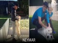 Ƶ-̵̳еĳﹷ 񻭷ͻ
