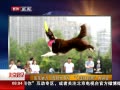 硷 Ͼٰ̹籭йù