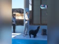 Ƶ-뺣ʨϷ ٵ