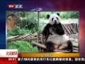 硷 è