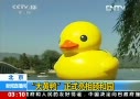 Ƶú԰Ѽ̿