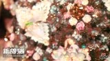 ƵMary Katrantzoų