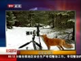 硷 갮