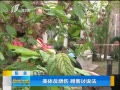 籨 巴˹˿˵
