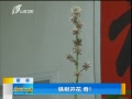 籨 ֣
