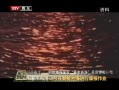 롷 ʲΤż