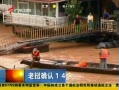 㶫糿 ȷ14