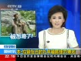 Ƶ:رǲʷ ԭ䱻ϸ