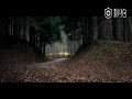 Ƶ-KimiԼݷGTC4 Lusso T