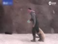 ܱԱܻ ȳа