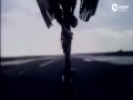 йɫм֮ɫʨʽս