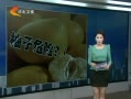 񳯡 꽵ѹҩֳ Ѫѹ轵ε