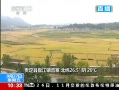 ֱ䡷 սĿ