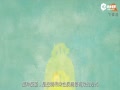 Ƶӿɱ硱