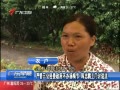 㶫糿 Ϲ÷ ־˵