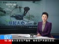 ֱ䡷 ʵ桶 СҲÿ˶