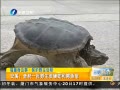 簲 ϪһҰ۾ߺ