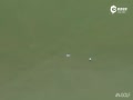 Ƶ-ȹҡҡLPGAּ Ů