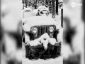 Ƶ-2016֮JEEP Ļ