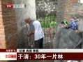 š 壺30һƬ