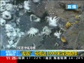 ֱ䡷 ۷ֺŵִ1000ȡ