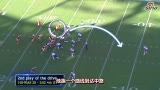 Ƶ-NFL7ѹ· ¼洫Ƥ