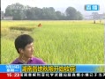 ֱ䡷 ϸʼջ