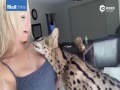Ұèˡ衱Ƶߺ