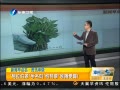 簲 ѧǡزݱ
