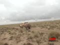 Ƶ-2015йԽҰ6 Խ