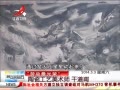 ӽ硷 Ͷ մɹʦ ɵ
